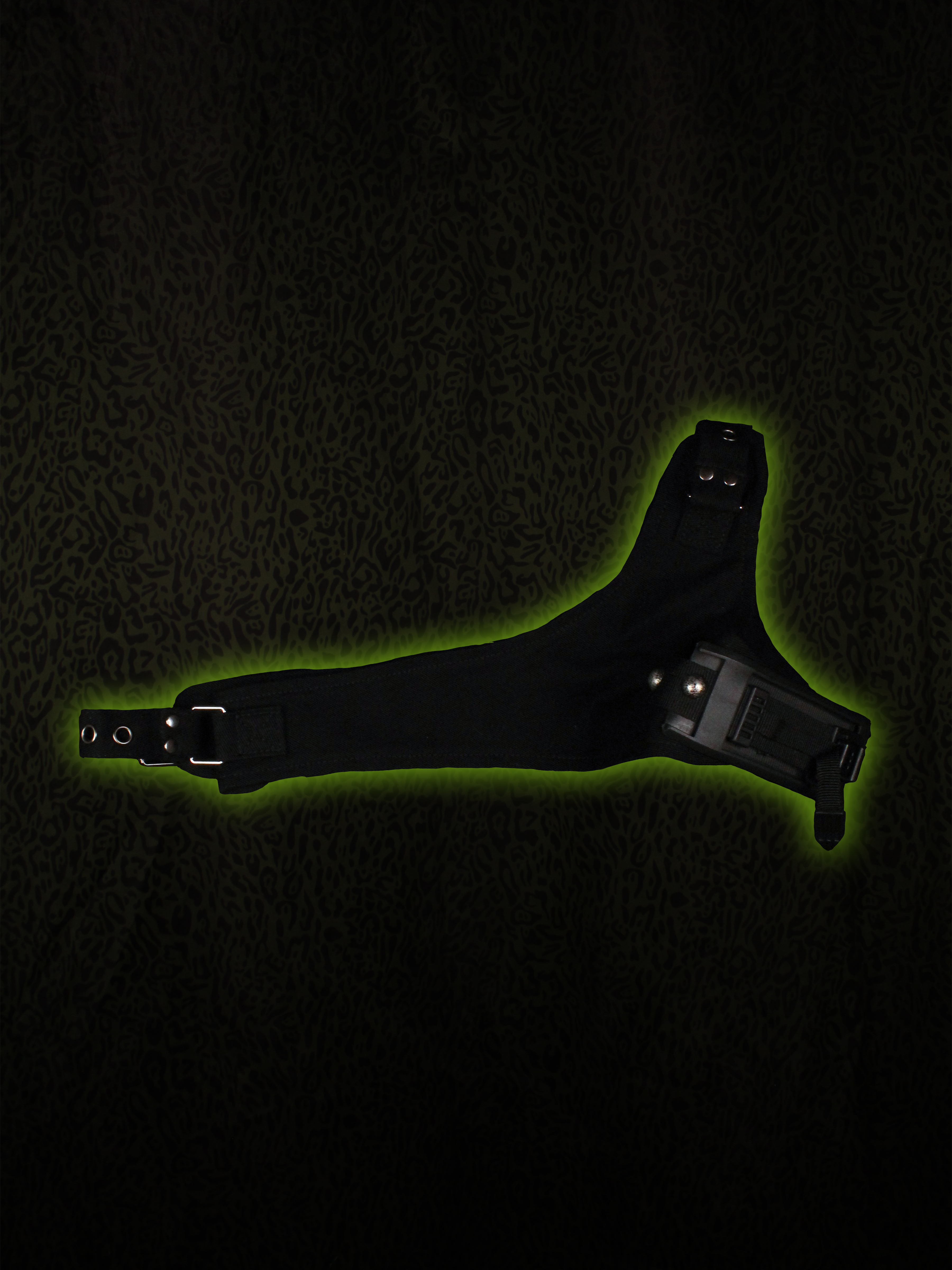 Holster Back