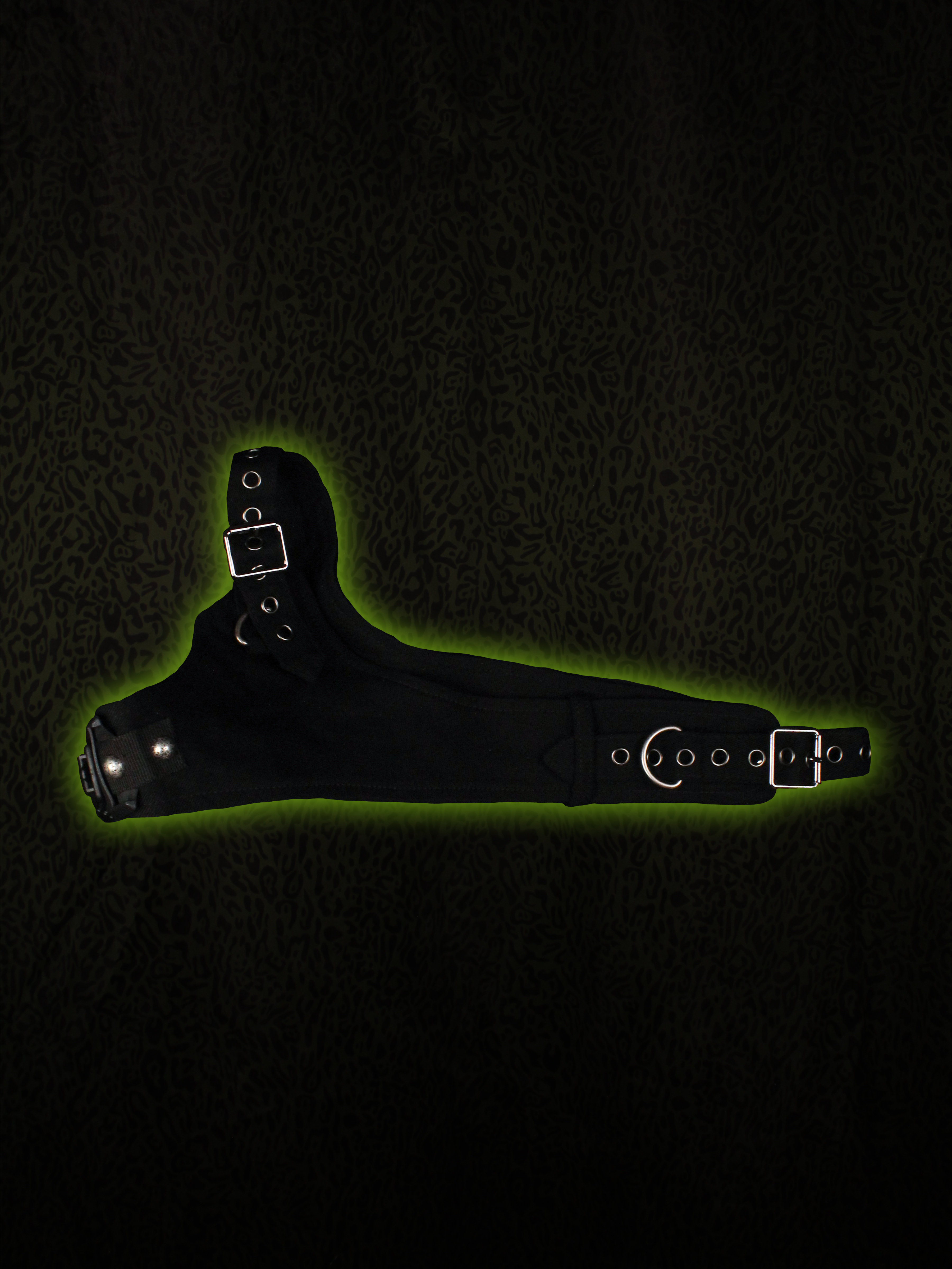 Holster Front