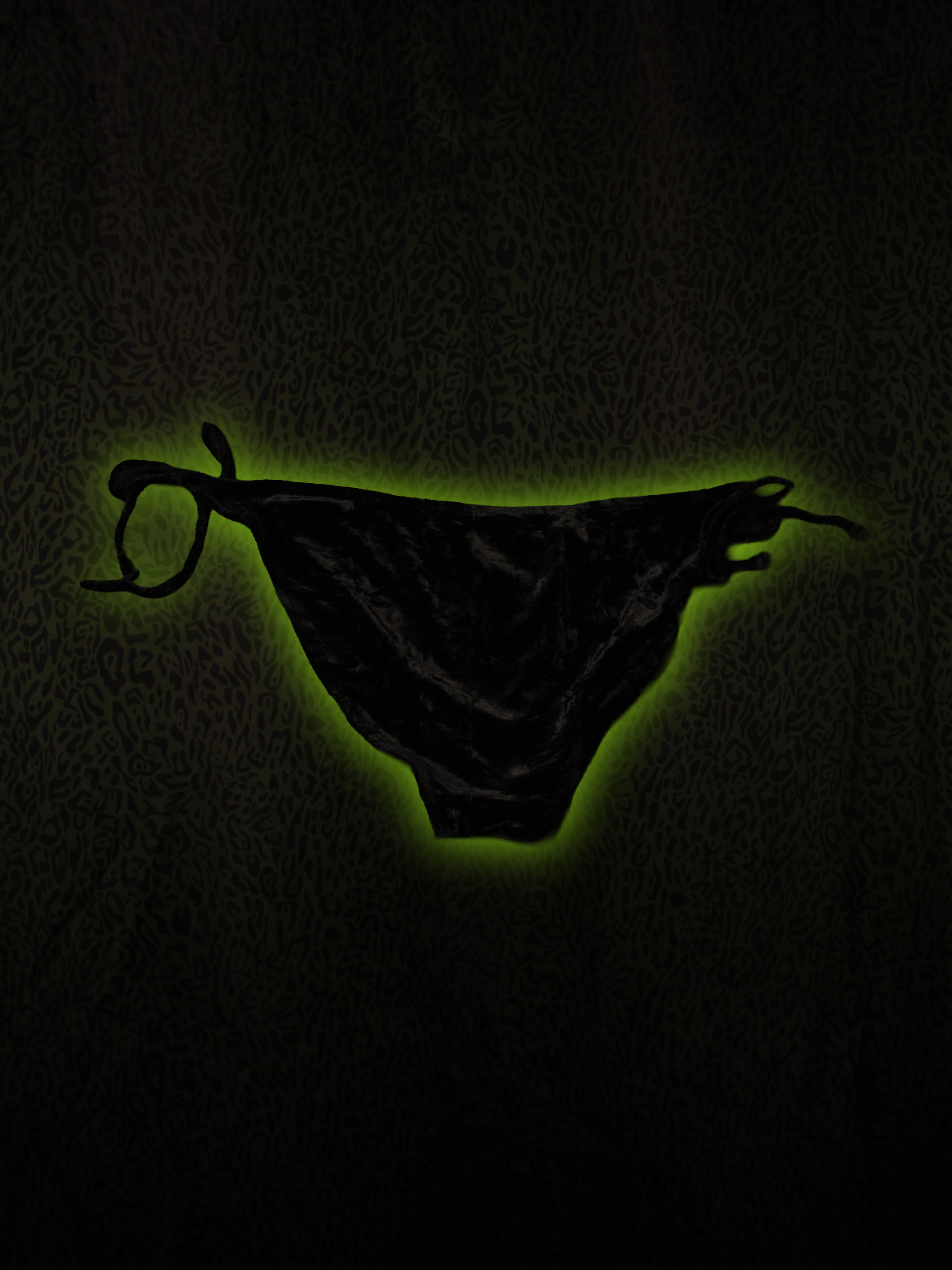 Velvet Bikini Back