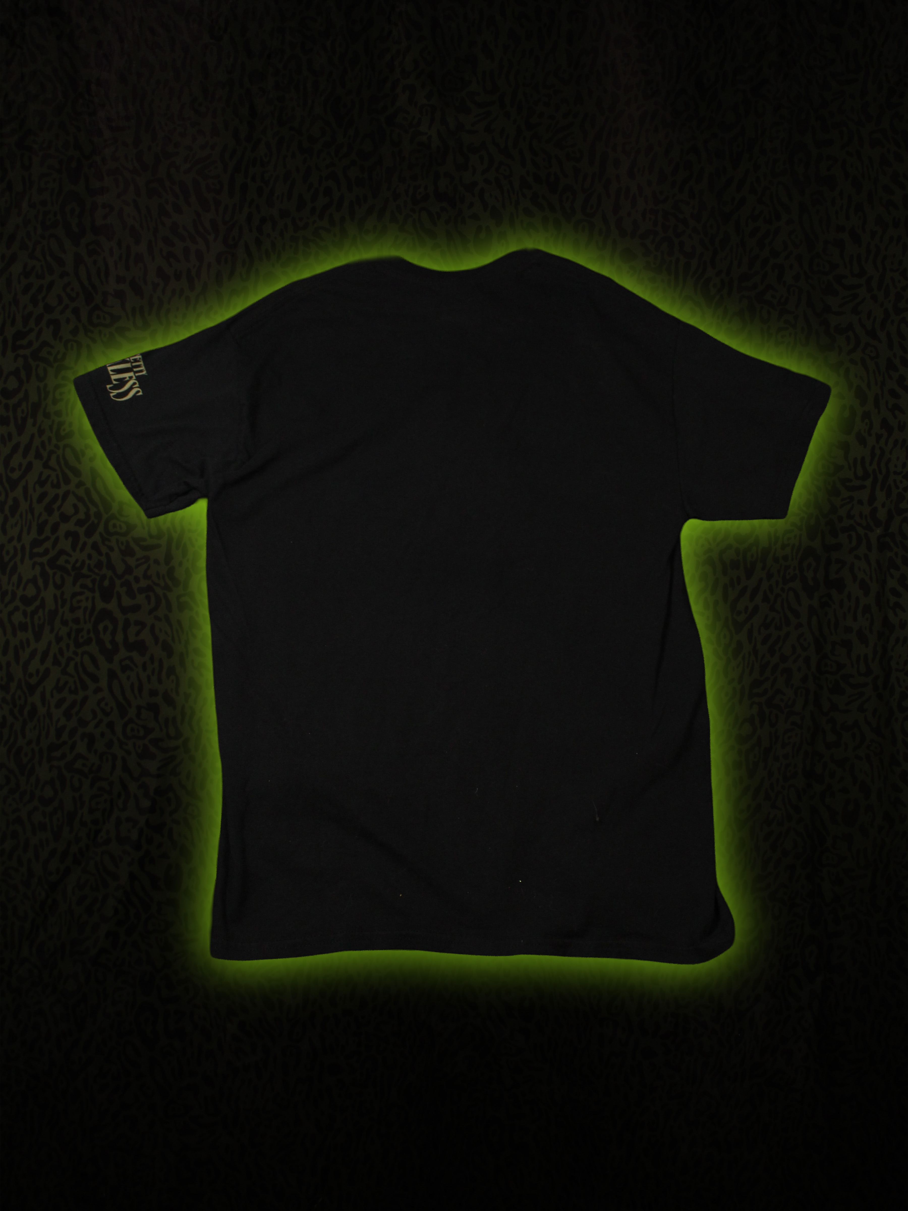 Pretty Reckless Tee Back