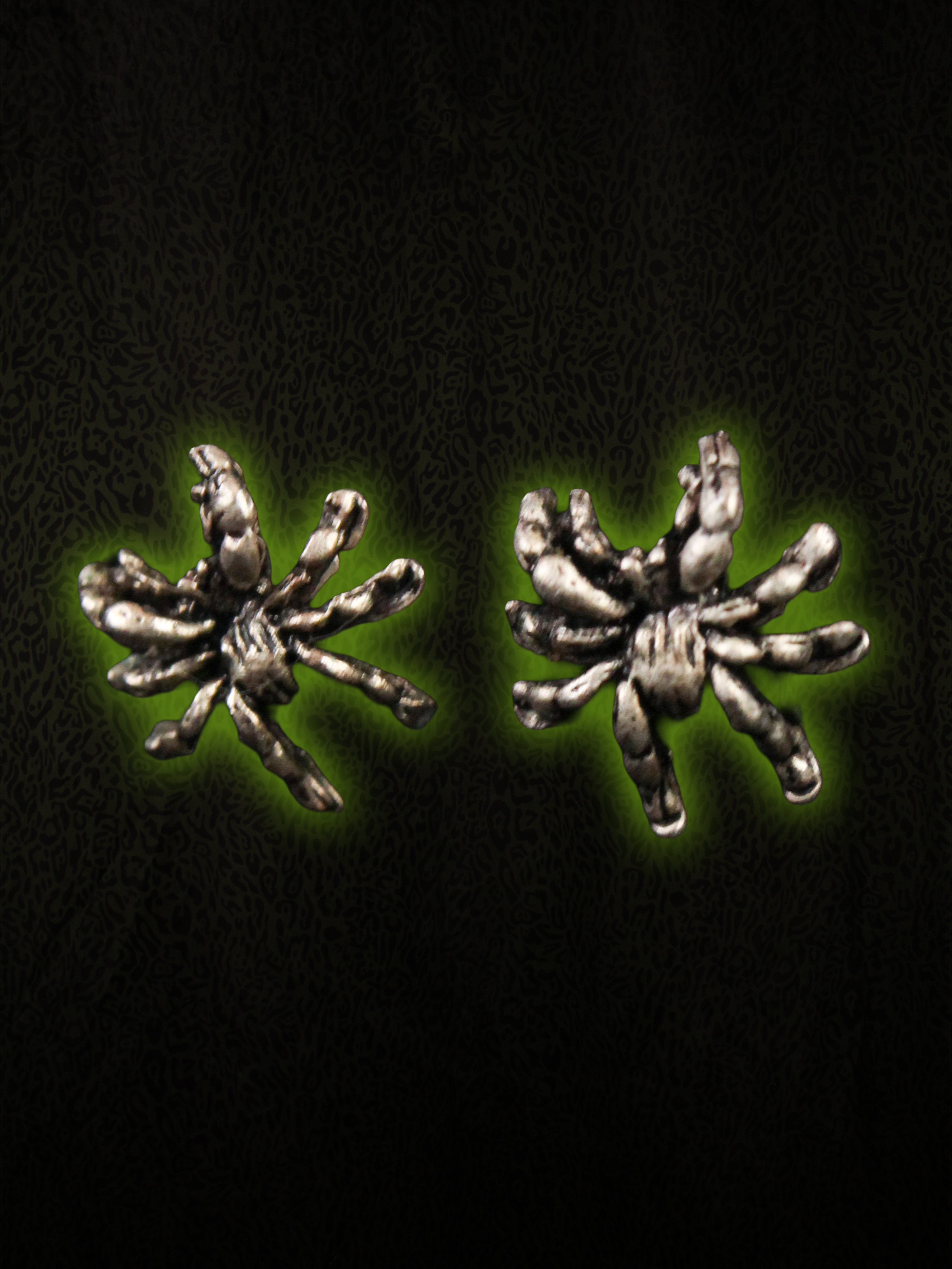 Earrings Front