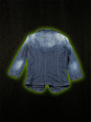 Denim Blazer Back
