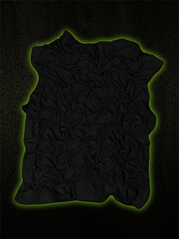 Shirt Back
