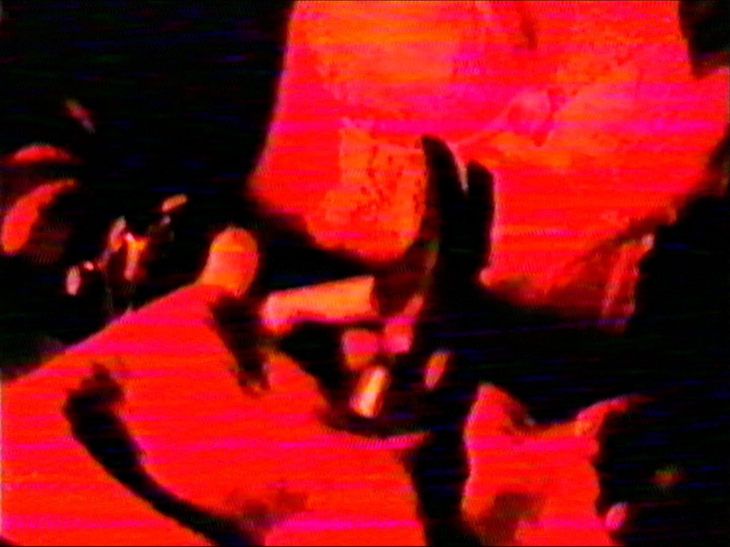 Glass Thumbnail