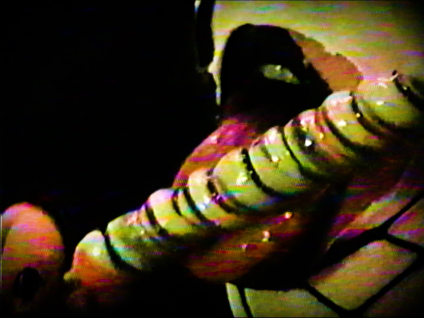 Lollipop Thumbnail